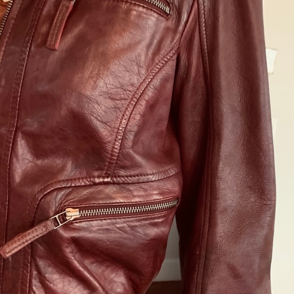 New Rebel Leather jacket rich wine colour size M. - Picture 5 of 8
